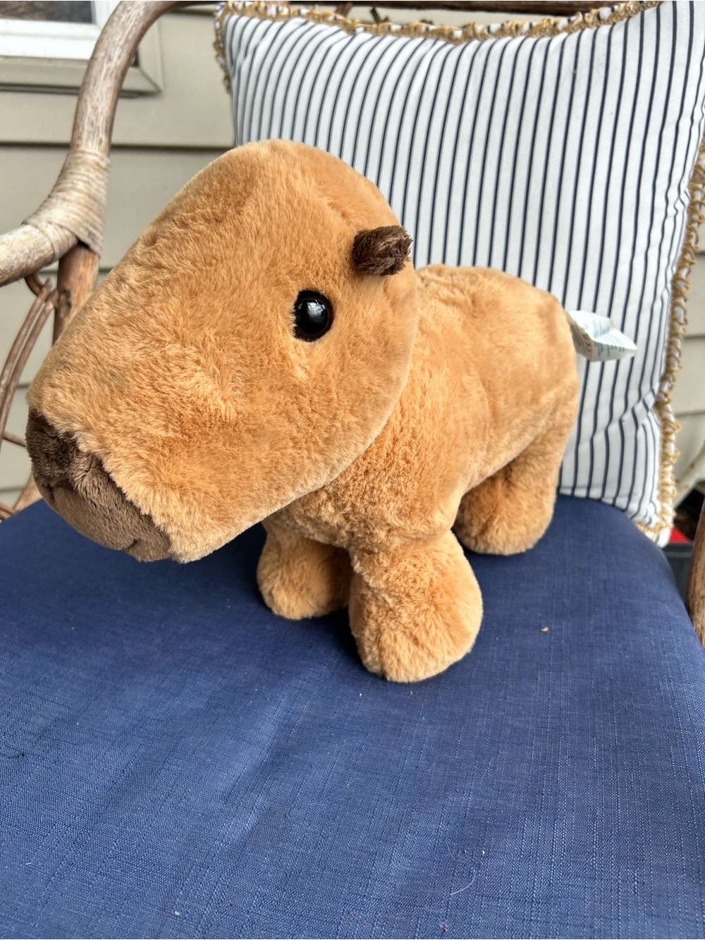Build-A-Bear Workshop Capybara Plush Stuffed Animal 14" Brown Online Exclusive